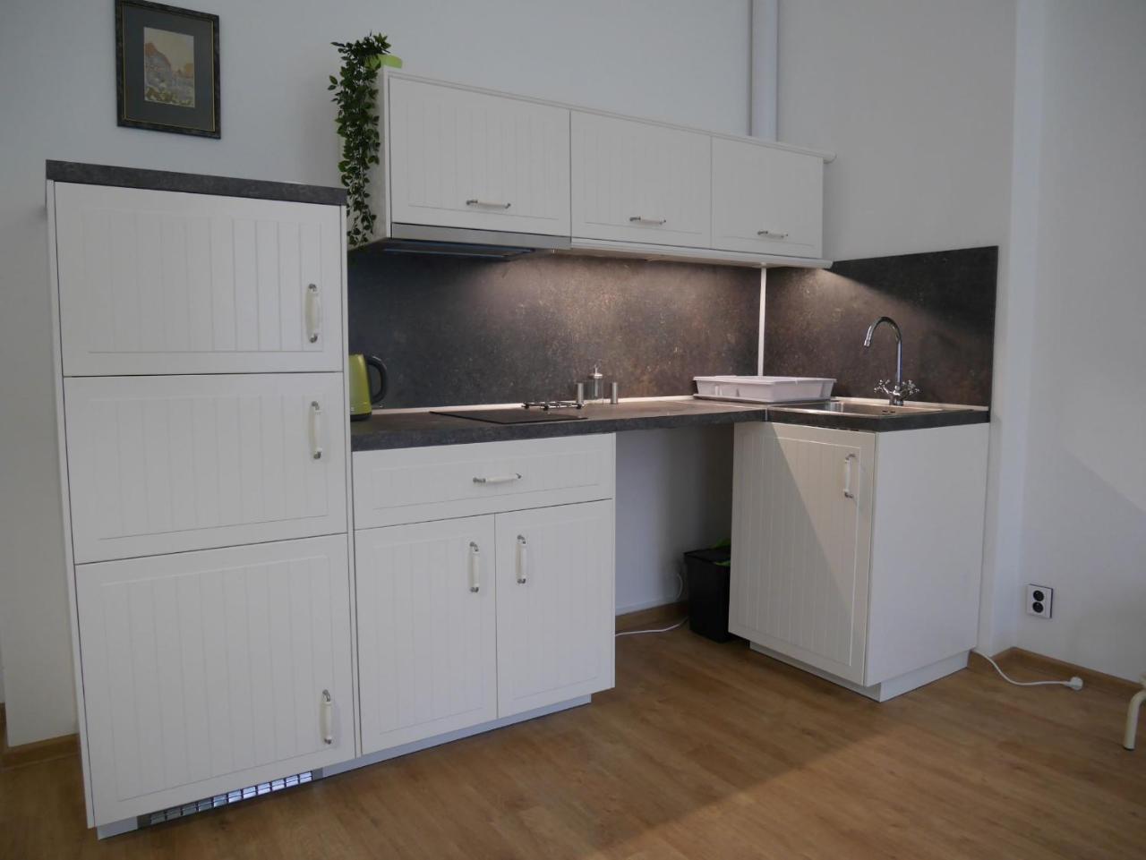 Appartement Moskevska 40 à Karlovy Vary Extérieur photo